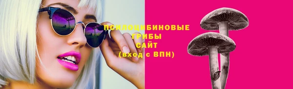 Альфа ПВП Бугульма