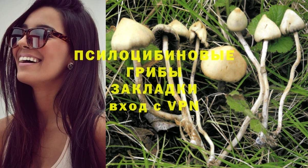 наркотики Бородино