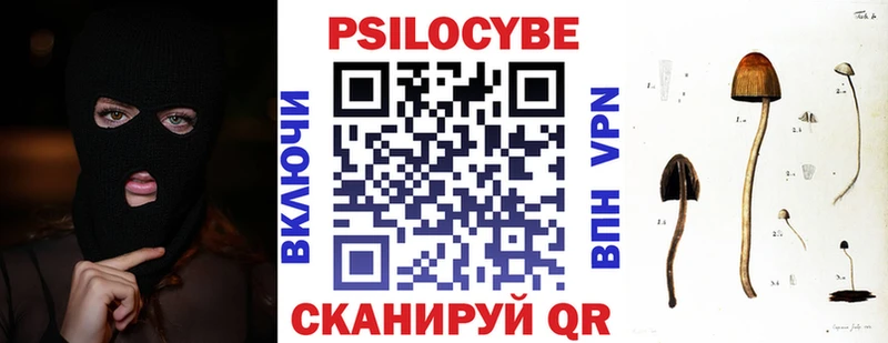 Псилоцибиновые грибы Psilocybe  Новохопёрск 